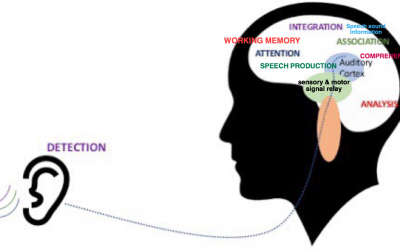 Auditory Processing Disorder